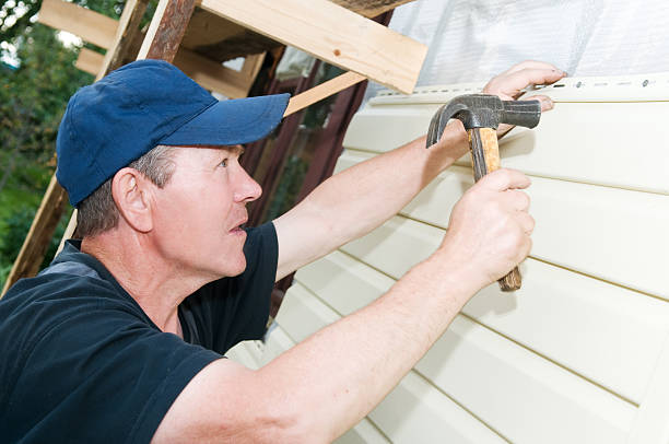 Best Stone Veneer Siding  in Pine Ridge, FL
